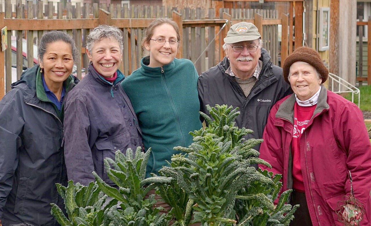 Lunch in the Garden veteran Master Gardeners Audreen Williams, Jeanette Stehr-Green, Laurel Moulton, Bob Cain and Lois Bellamy will lead a walk through the Fifth Street Community Garden, 328 E. Fifth St., Port Angeles, at 10 a.m. Saturday, April 8. Following the walk, Master Gardeners Betsy Wharton and Laura Orton (not pictured) will talk about how to use and preserve produce from your garden. The walk is part of the “Second Saturday Garden Walks” educational series sponsored by WSU Clallam County Master Gardeners to help home gardeners learn what needs to be done in the vegetable garden each month and what problems are likely to appear throughout the growing season. Submitted photo