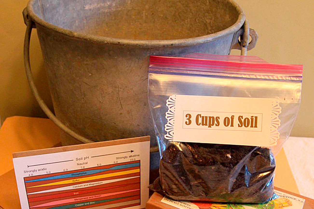 Get It Growing: Soil tests and microclimates