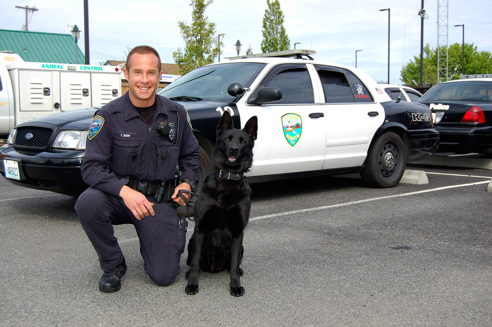 Sequim Police Officer Tony Bush kneels with new canine officer Mamba, a 16-month-old German shepherd outside the Police Department. He arrived last week with the dog and anticipates becoming state-certified by this summer so that she can work full-time with him. Sequim Gazette photo by Matthew Nash