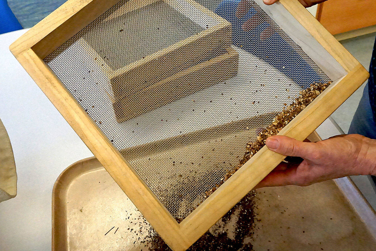 Off the Shelf: New NOLS Grows seed library sprouts