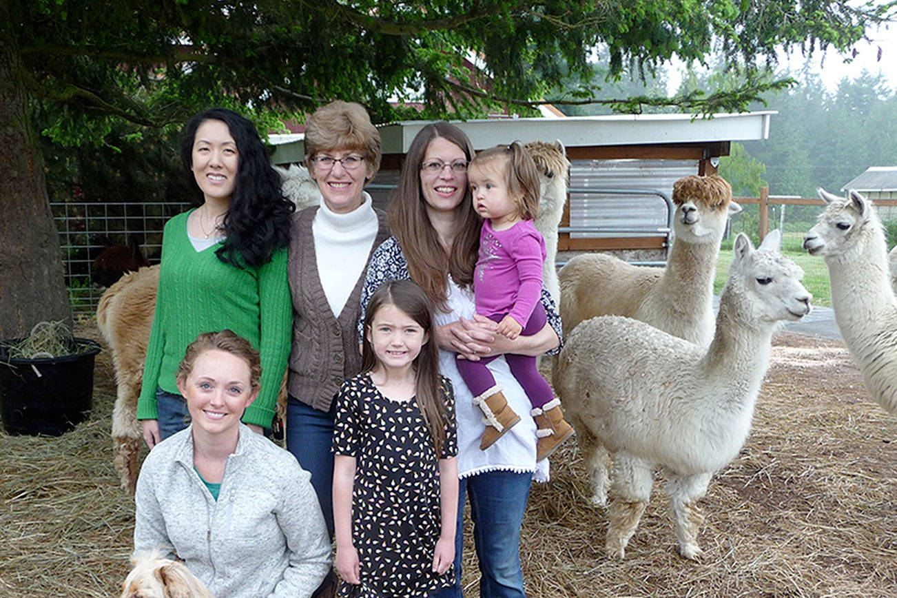 Dyefeltorspin festival celebrates all things fiber; alpaca shearing set for Sunday