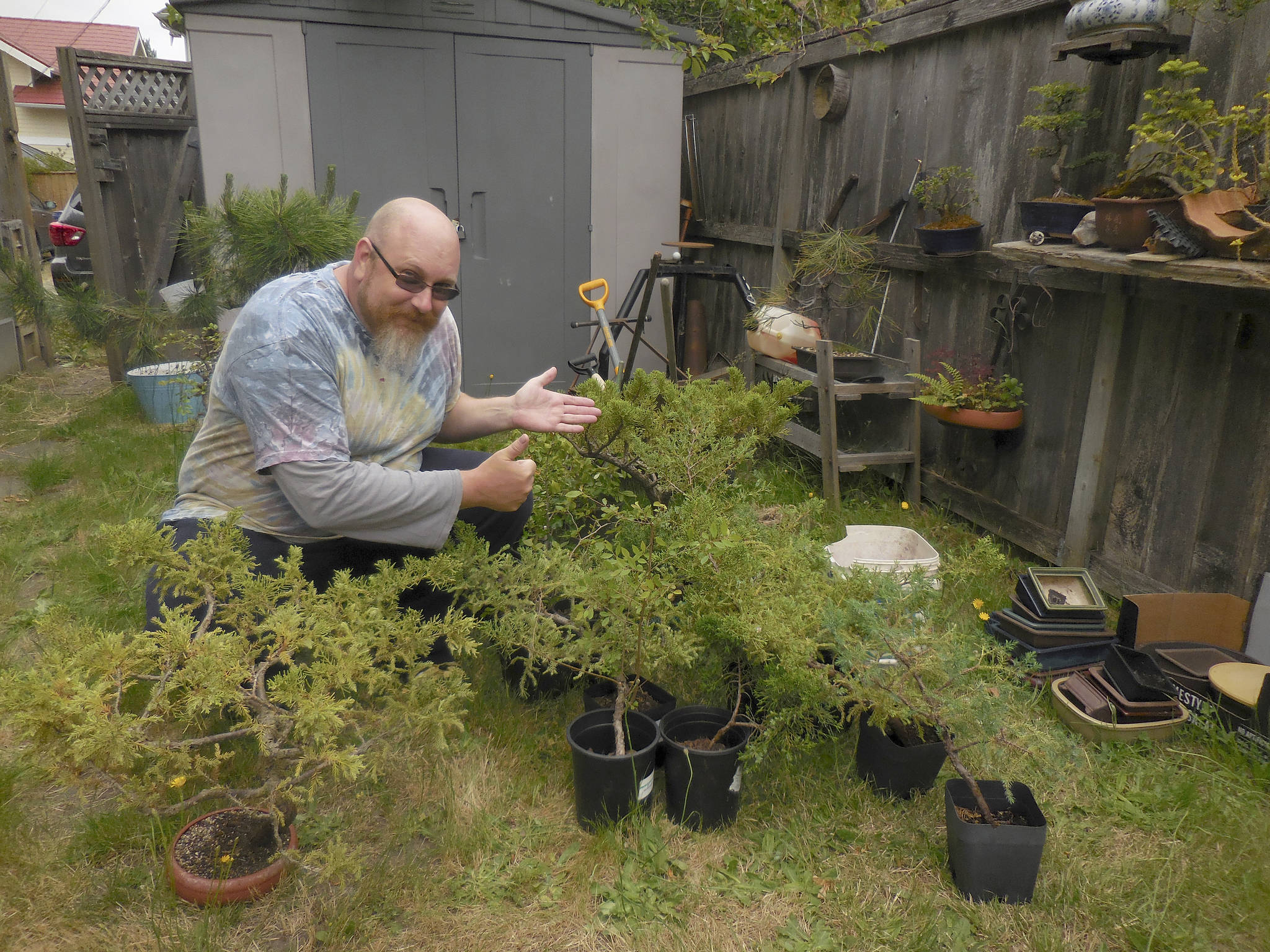 Dungeness Bonsai club helps teens after vandalism Sequim Gazette
