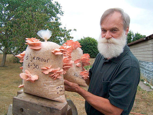 Lowell Dietz will present “Cultivating Mushrooms on the Olympic Peninsula” at noon Thursday, Aug. 24, in the county commissioners meeting room of the Clallam County Courthouse, 223 E. Fourth St., Port Angeles. This presentation is sponsored by the WSU Clallam County Master Gardeners. Photo by Lowell Dietz
