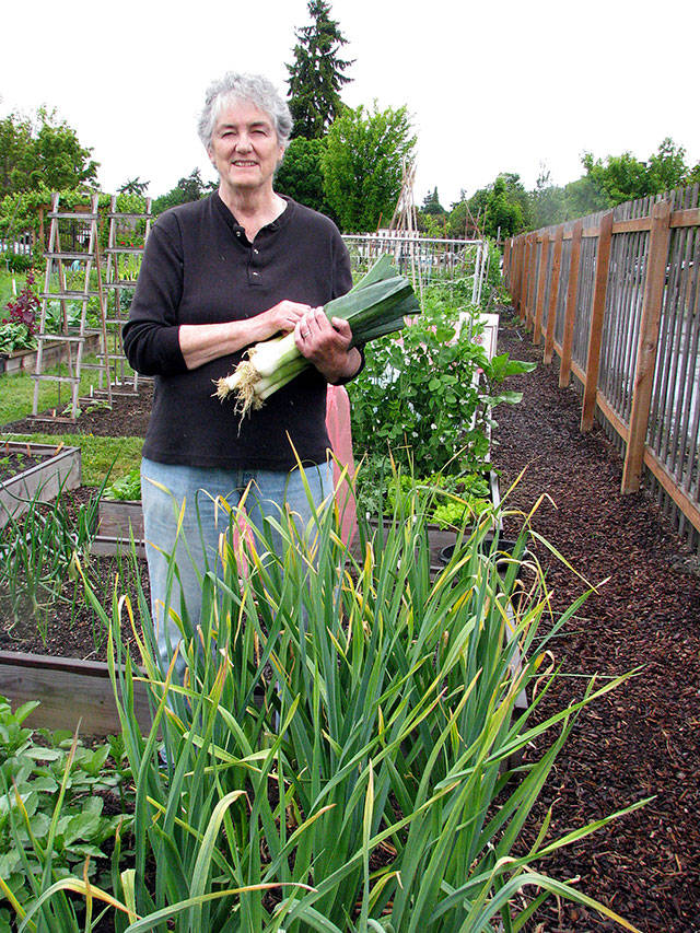 Learn all about leeks at Green Thumb Garden Tips series presentation
