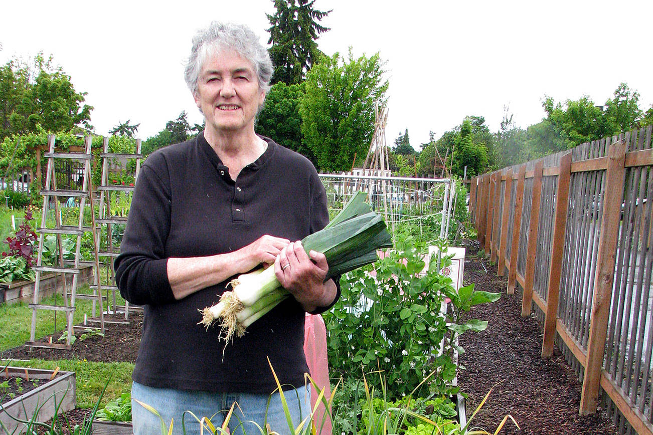 Learn all about leeks at Green Thumb Garden Tips series presentation