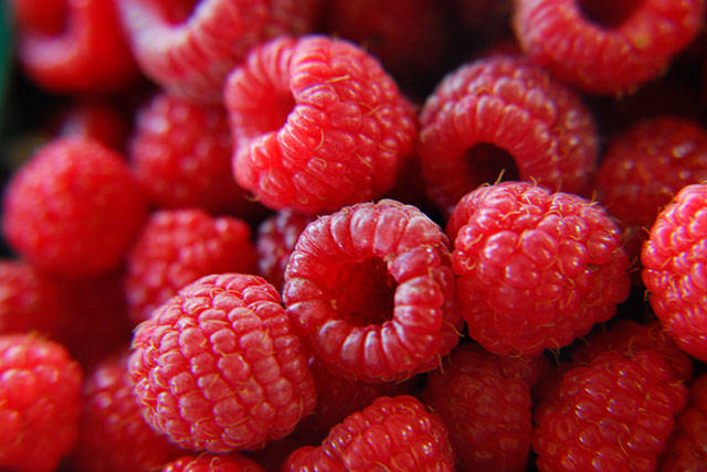 Reeling in raspberries