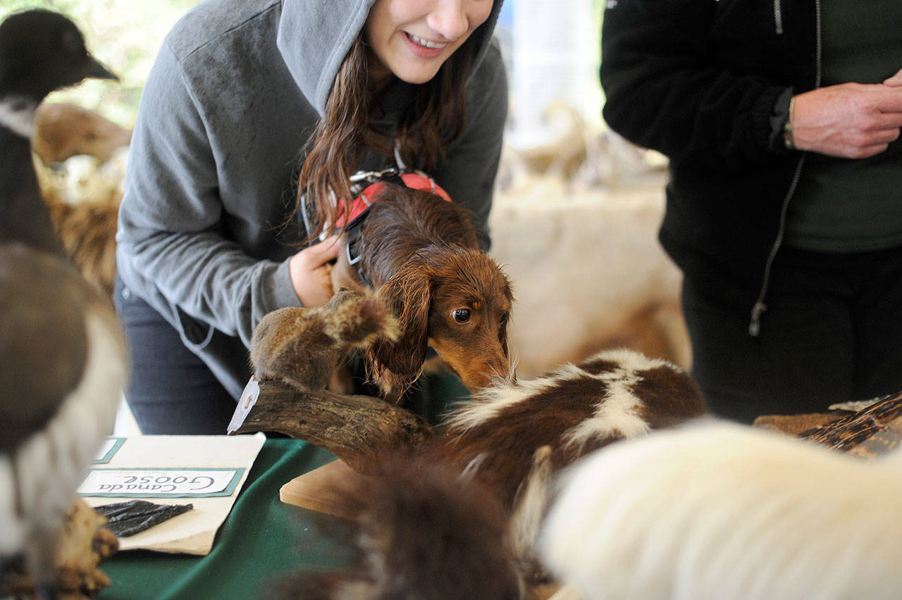 One-day River Fest a hit, organizers say