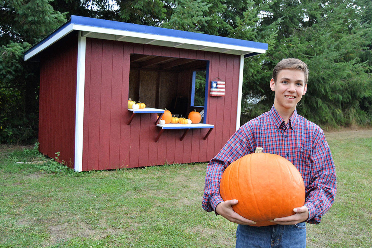 Teen brings back “Pumpkins for a Cause” on Saturday