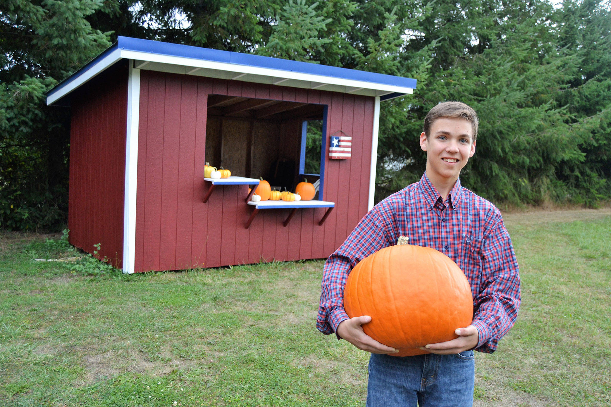 Carson Holt plans to sell pumpkins on Oct. 21 at the intersection of Old Olympic Highway and Knutsen Farm Road to benefit the Captain Joseph House Foundation and Dungeness Composite Squad Civil Air Patrol. He is going to sell the pumpkins out of the former Cameron’s Berry Farm sale stand that was gifted to him. Sequim Gazette photo by Matthew Nash