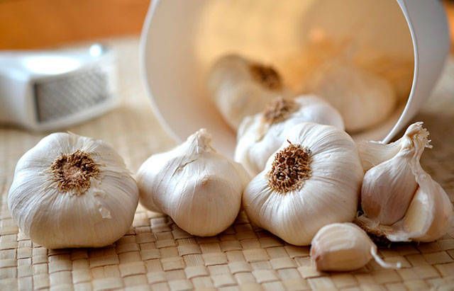 Farm to Table: Great garlic!