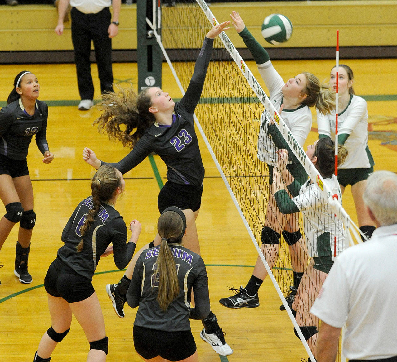 Volleyball: Wolves extend season with win over PA
