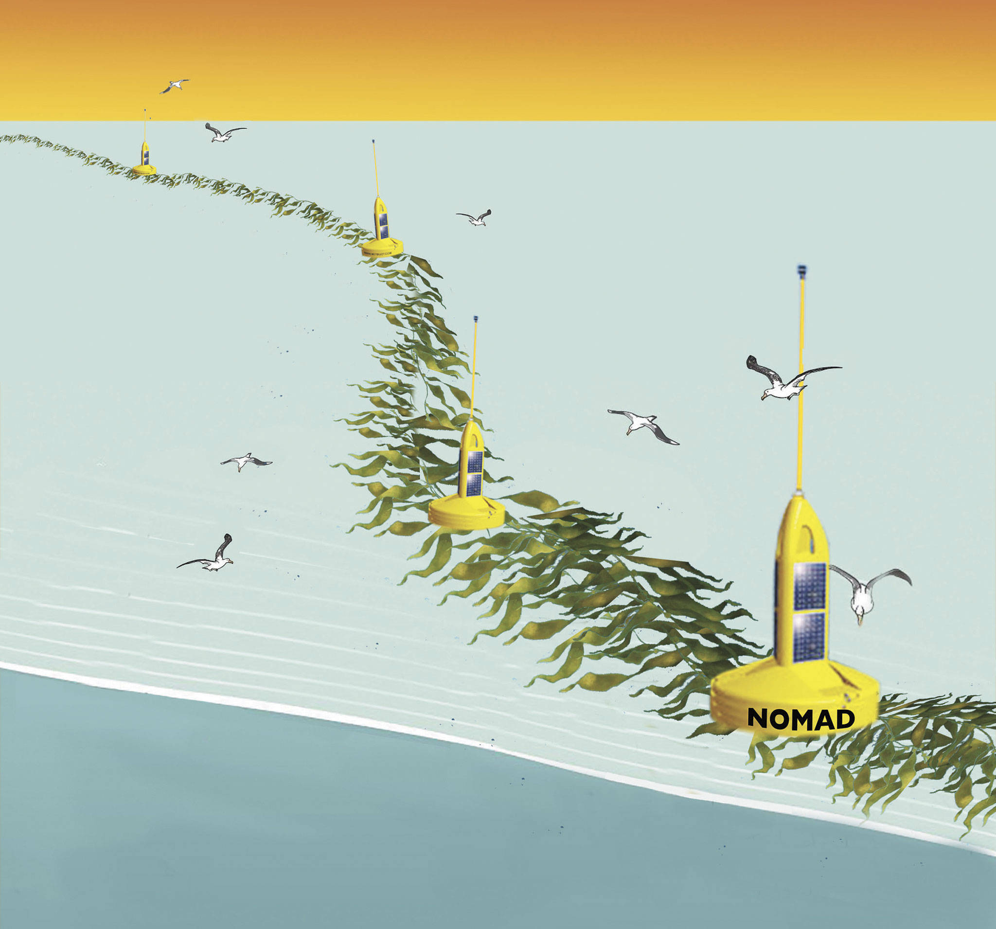 Scientists and researchers on the Olympic Peninsula are developing a project called NOMAD, or Nautical Offshore Macroalgal Autonomous Device, that floats along the Pacific Ocean to grow seaweed for use later as biofuel. Graphic by Reliance Laboratories