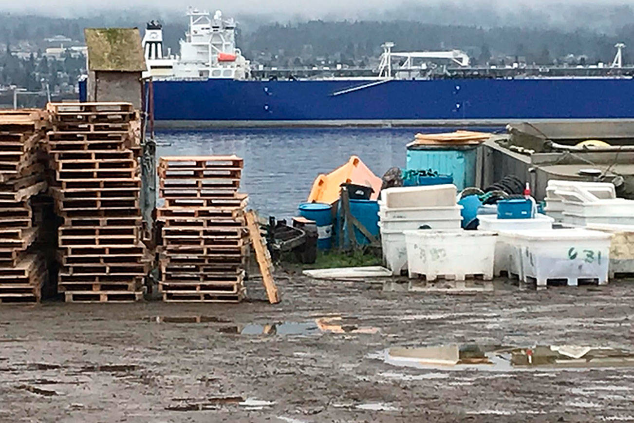 State terminates Cooke’s lease for Port Angeles salmon farm