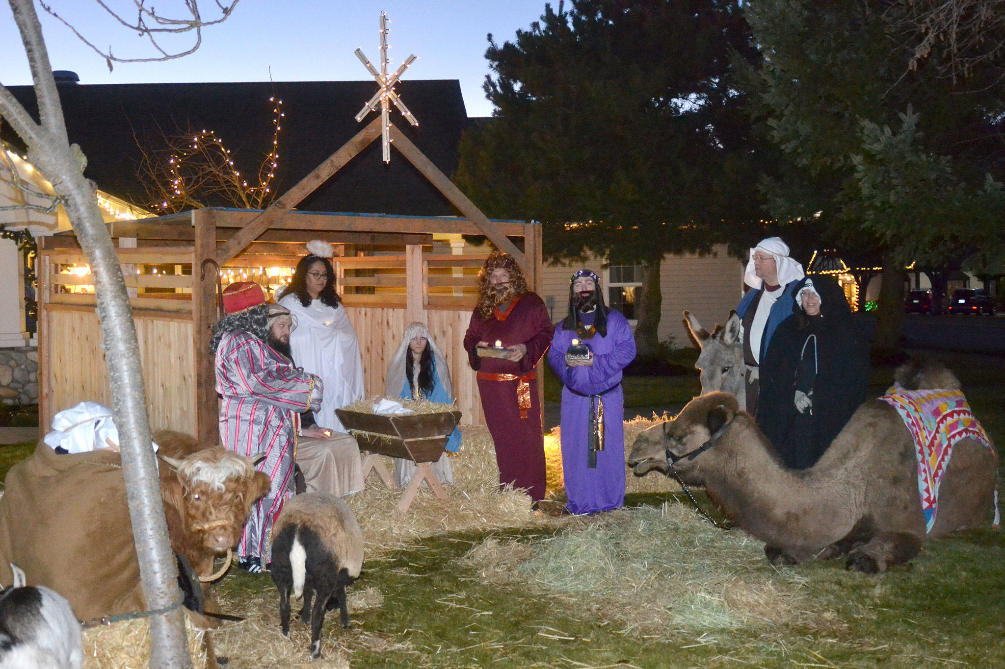 Dungeness Courte goes live with the nativity