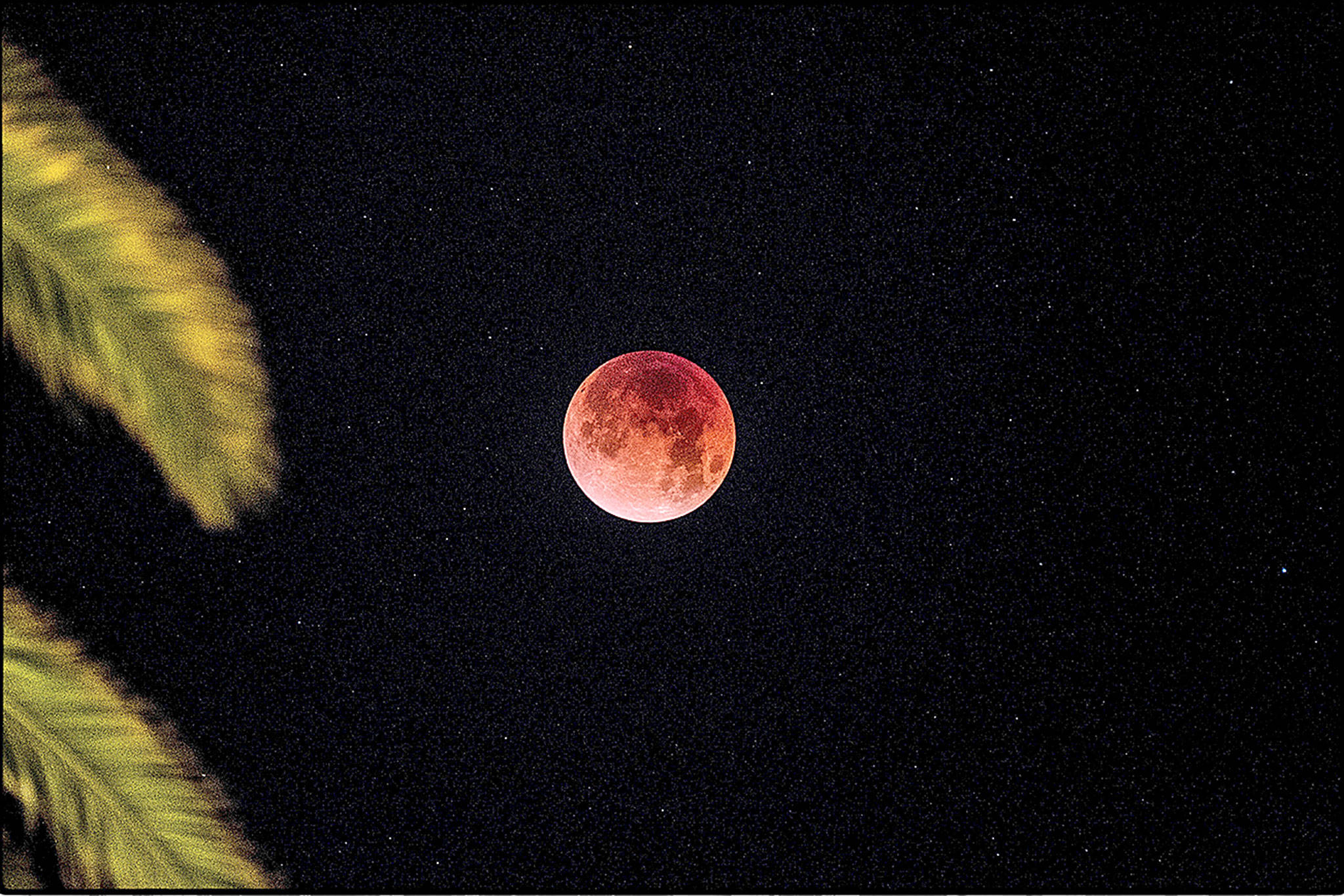 Blue moon … or red?