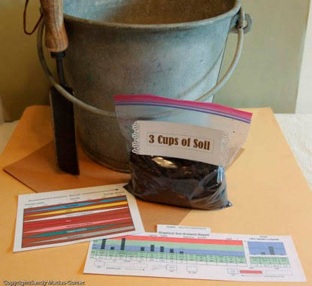Get It Growing: Soil is the key to growing vigorous plants