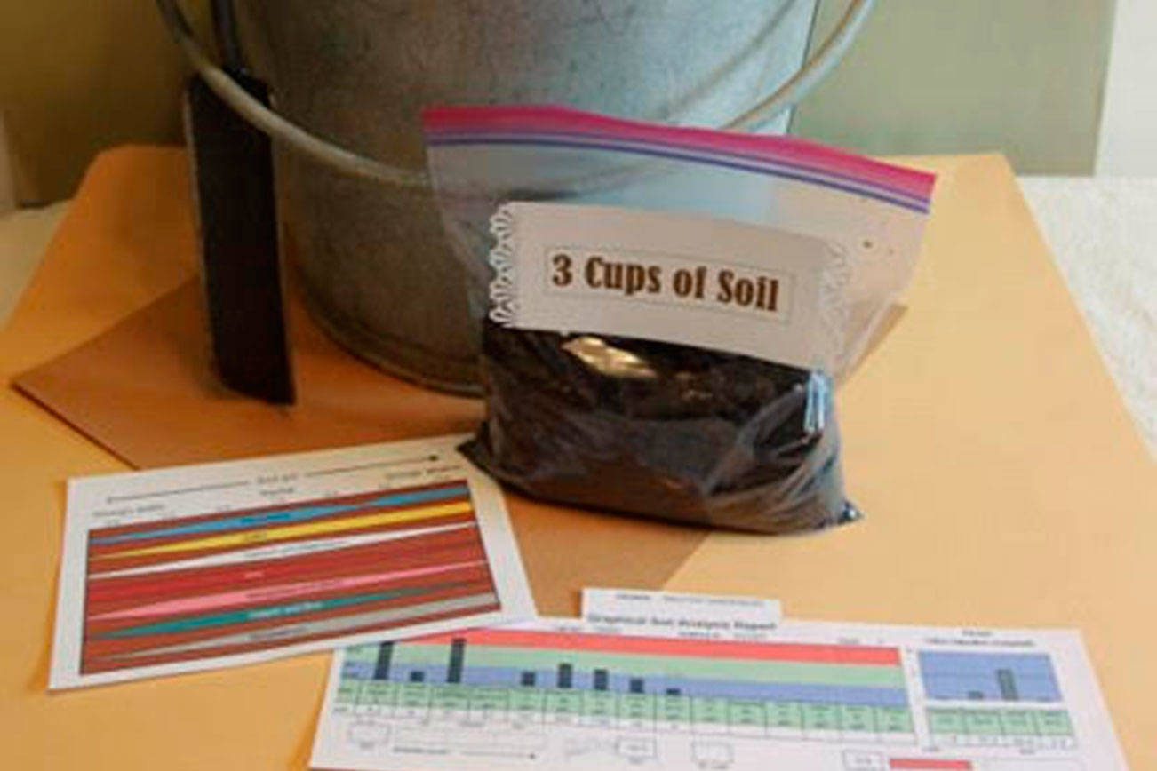 Get It Growing: Soil is the key to growing vigorous plants