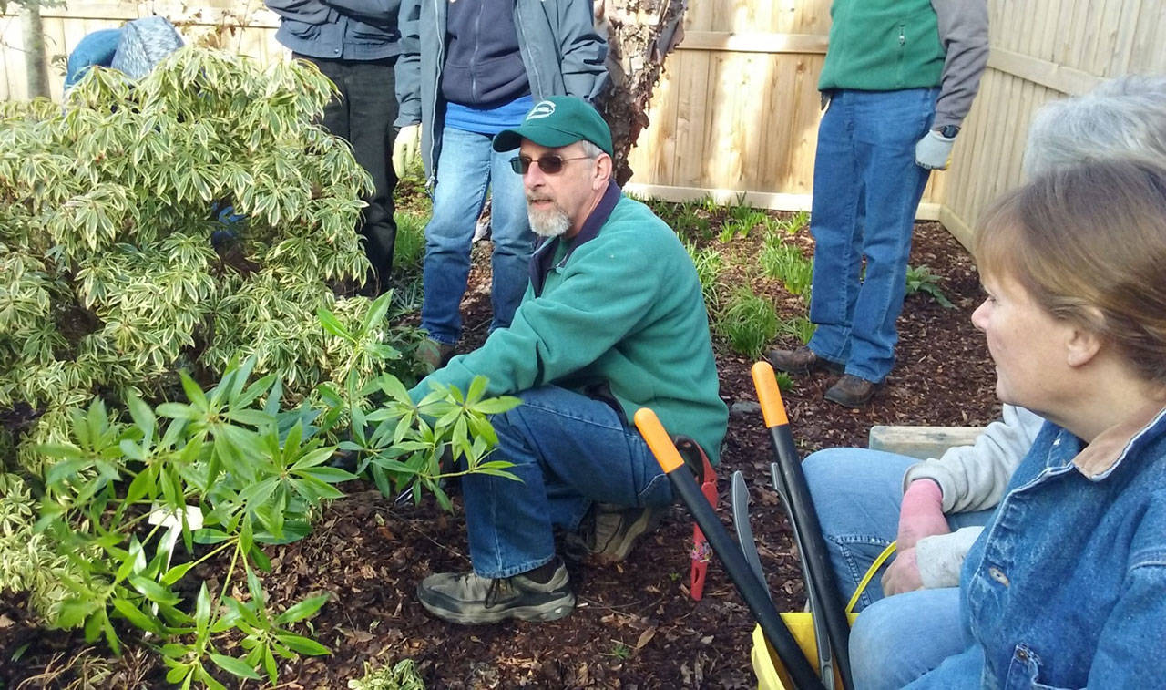 WAG hosts Master Gardener ‘hands-on’ pruning workshop