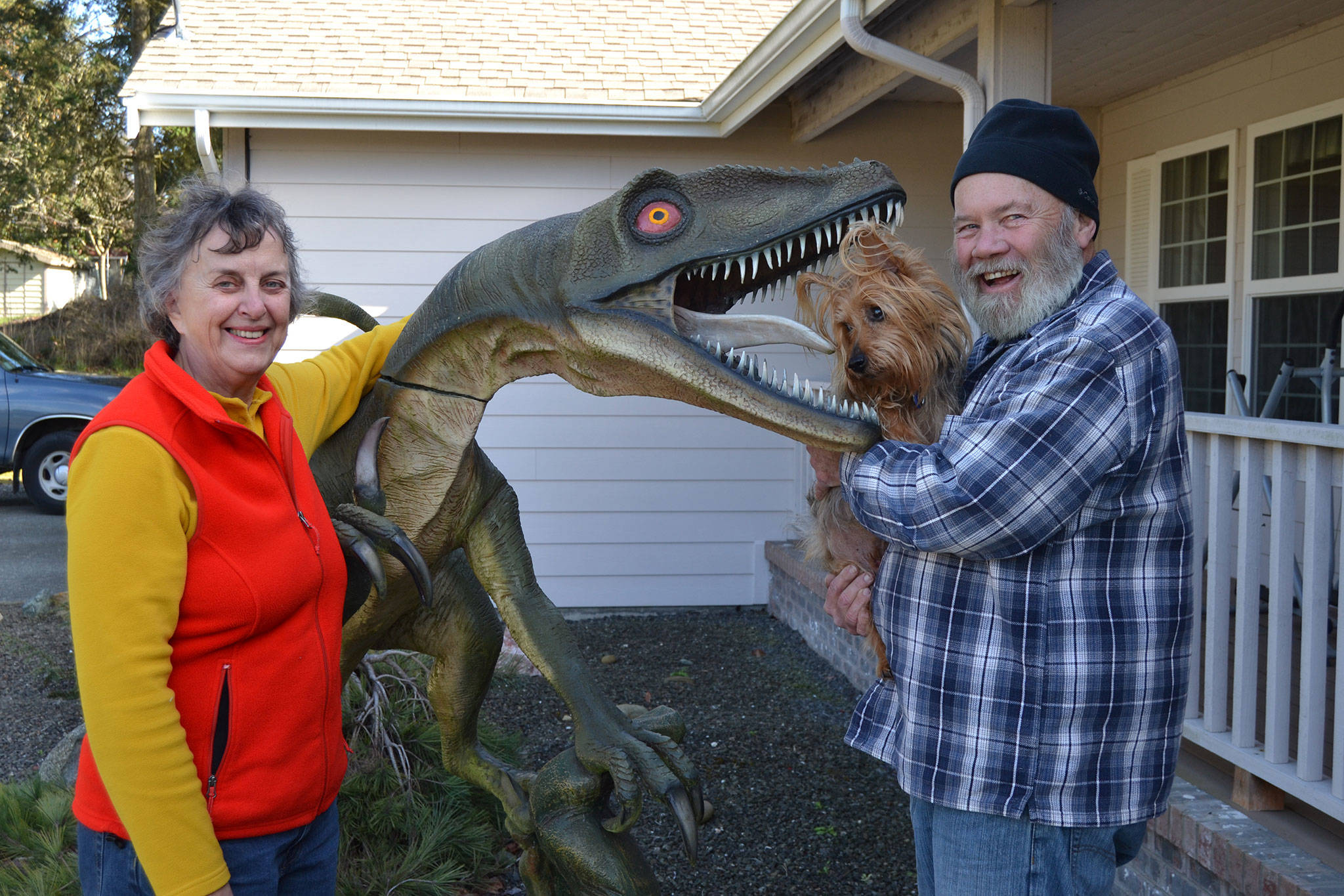 Sue and Tom Runyan with their dog Rufus stand by the family’s decorative dinosaur, a velociraptor, also called a deinonychus by experts, that they’ve had in front of their Dungeness’ home for more than seven years. See story, A-4. Sequim Gazette photo by Matthew Nash
