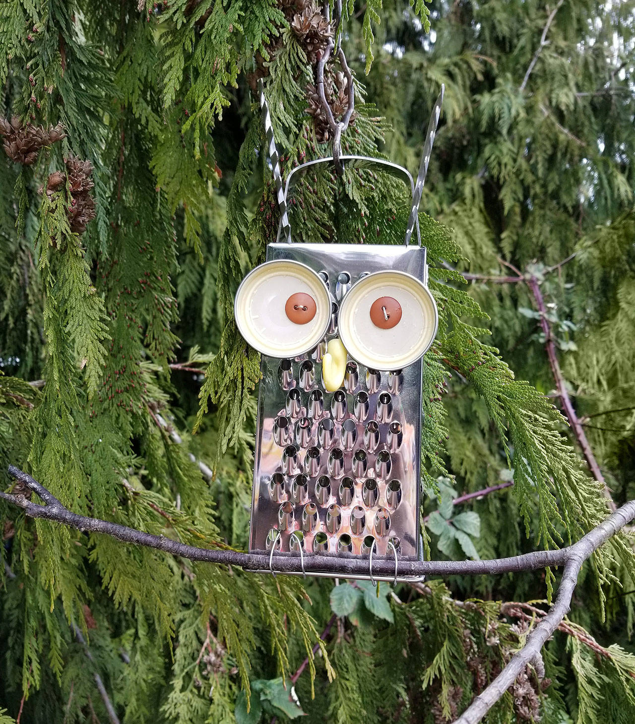 Workshop turns cheese graters to owls