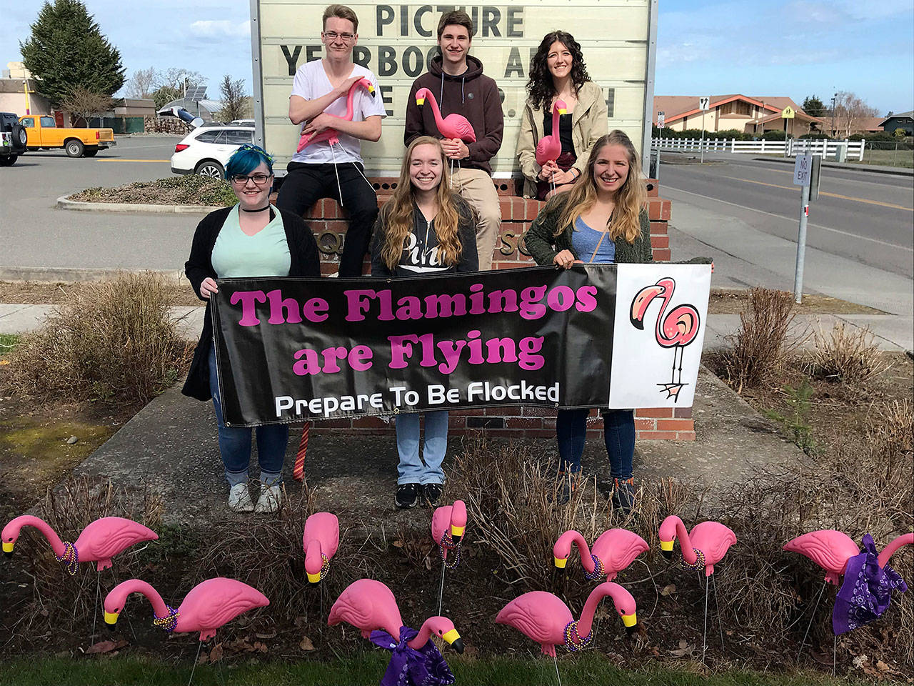 SHS seniors prep for annual flamingo fundraiser