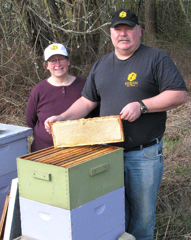 Next Green Thumb event explores world of honeybees