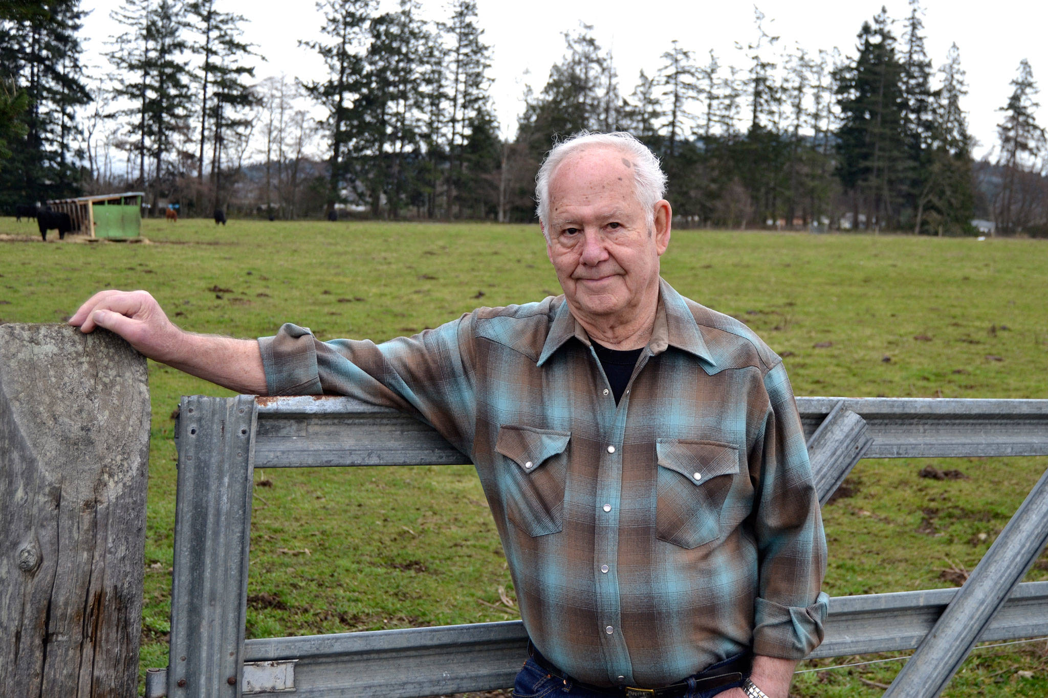 Don Ellis says he’s honored to be named a Grand Pioneer for the Sequim Irrigation Festival. He said his parents Matt and Rachel “will be looking down with a smile” when he rides in the Grand Parade on May 12. Sequim Gazette photo by Matthew Nash