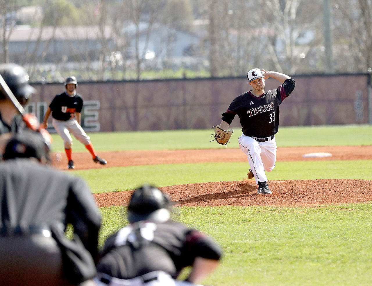 2014 Sequim High School grad Nick Johnston pitches for the Campbellsville University Tigers. Photo courtesy of Campbellsville University