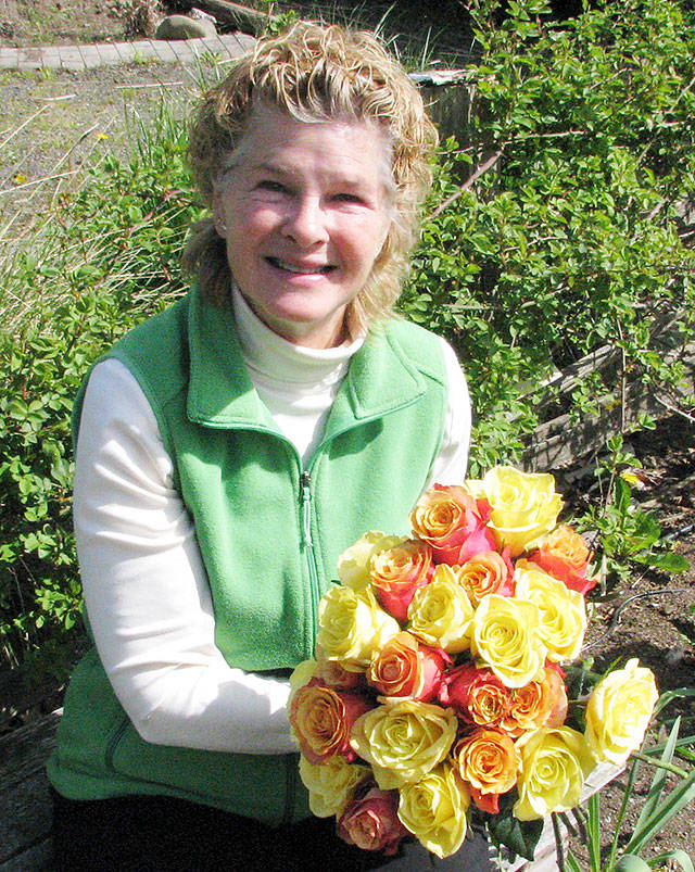 Learn about growing roses on the peninsula