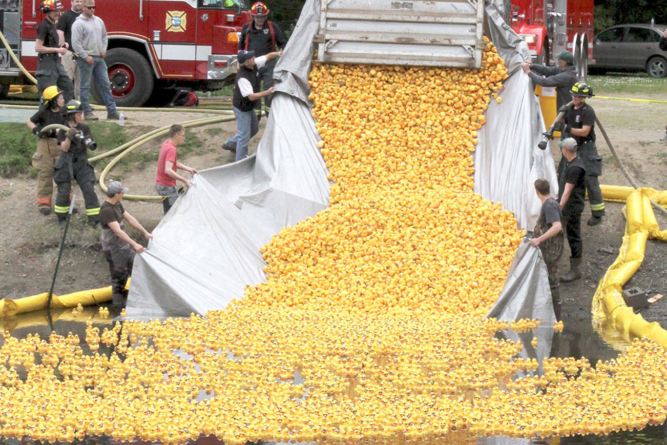 Duck Luck Fifty Prizes Awarded After Port Angeles Rubber Duck