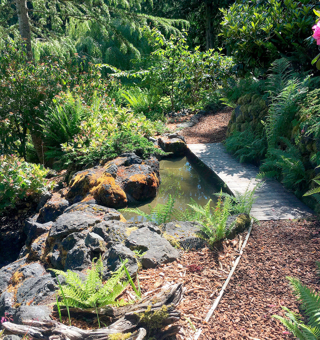 Petals Pathways: Annual tour features six breathtaking peninsula gardens