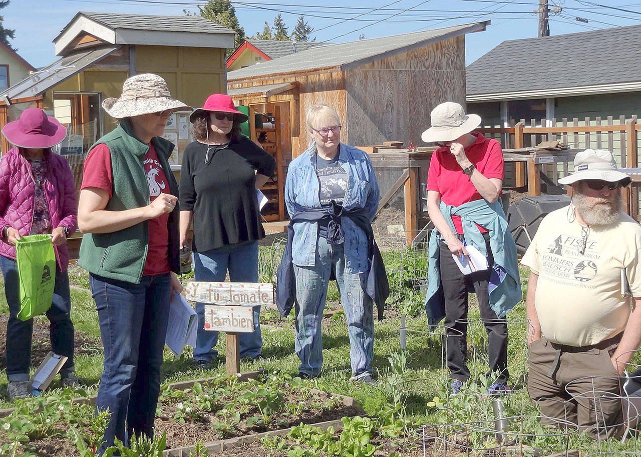 Get tips on tomatoes, veggies at ‘Second Saturday’ walk