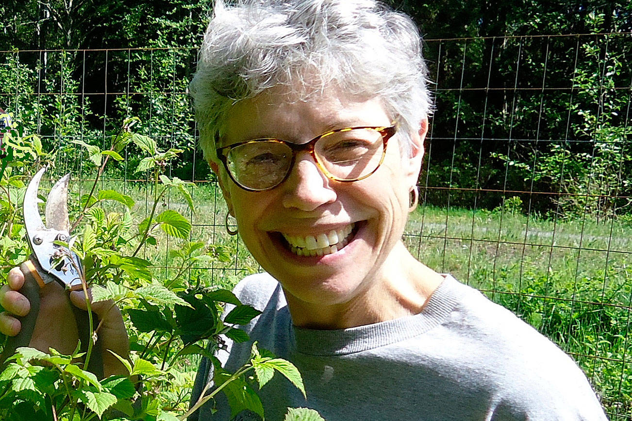 Master Gardener to talk raspberries