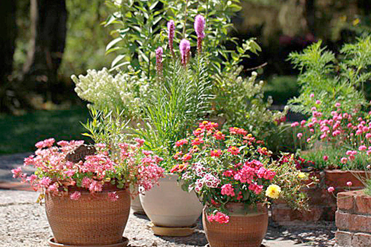 Get It Growing: Set your July gardening calendar