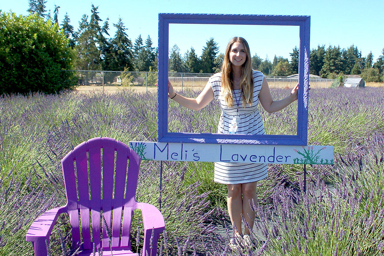 My lavender marathon: Reporter Erin Hawkins visits 16 lavender farms in one day