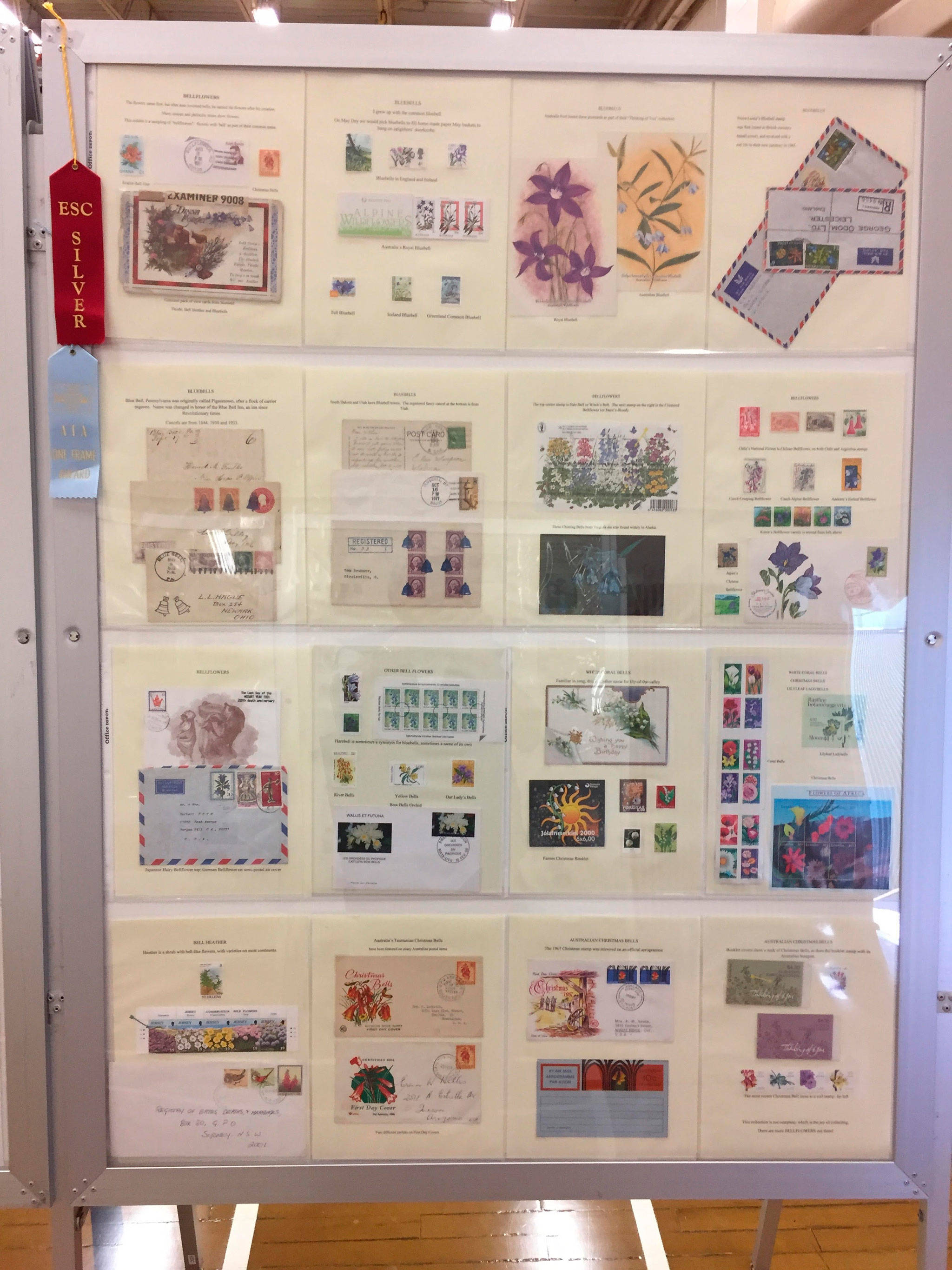 Cathie Osborne of Sequim won a silver ribbon and special award from the American Topical Association for the best single-frame Award at the Summer Exhibition of the Evergreen Stamp Show in Kent for her bellflowers stamp exhibit.                                 Photo by Dick McCammon