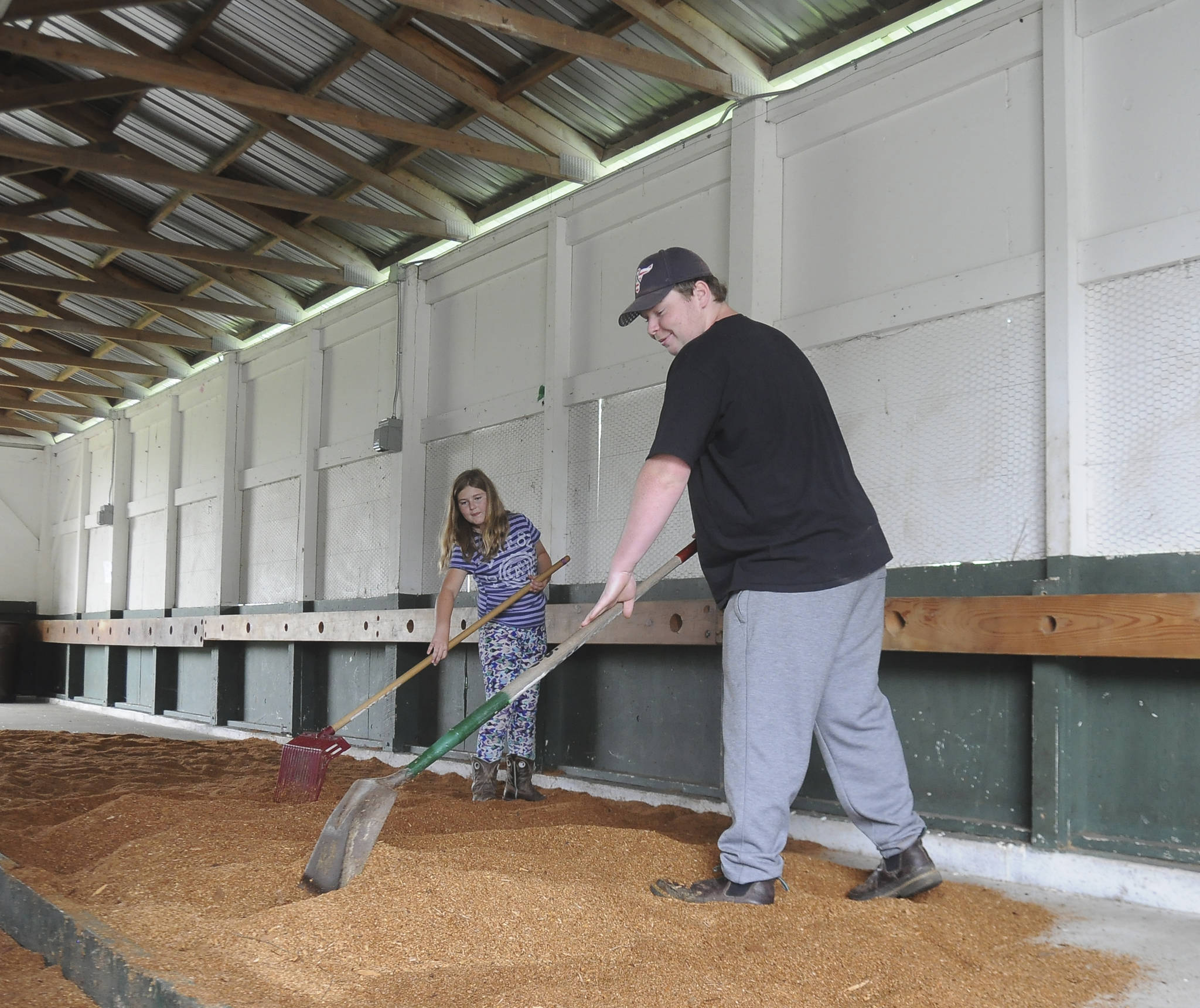 Amy Adolphsen and Caleb McDaniels help prep the cow barn at the Clallam County Fairgrounds this week.