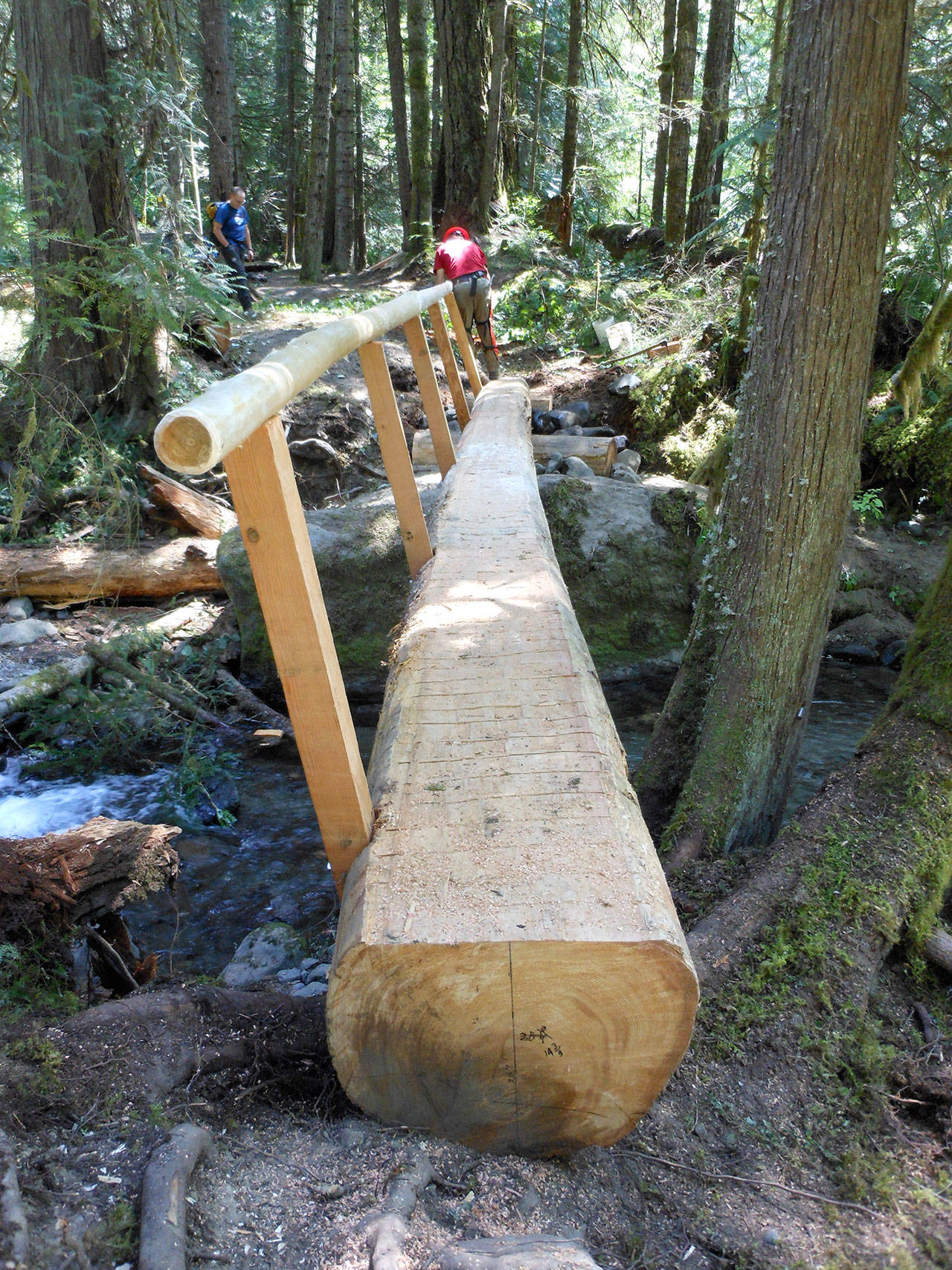 Volunteers with several groups recently installed a foot log near Gold Creek for hikers to better traverse the area. The U.S. Forest Service plans to consider options that change access points at several spots in the Olympic National Forest, including moving and expanding Gold Creek’s trailhead. Submitted photo