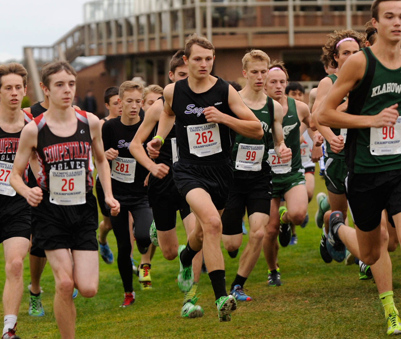 Fall sports preview: Wolves’ cross country hopes high with senior boys, newcomer girls