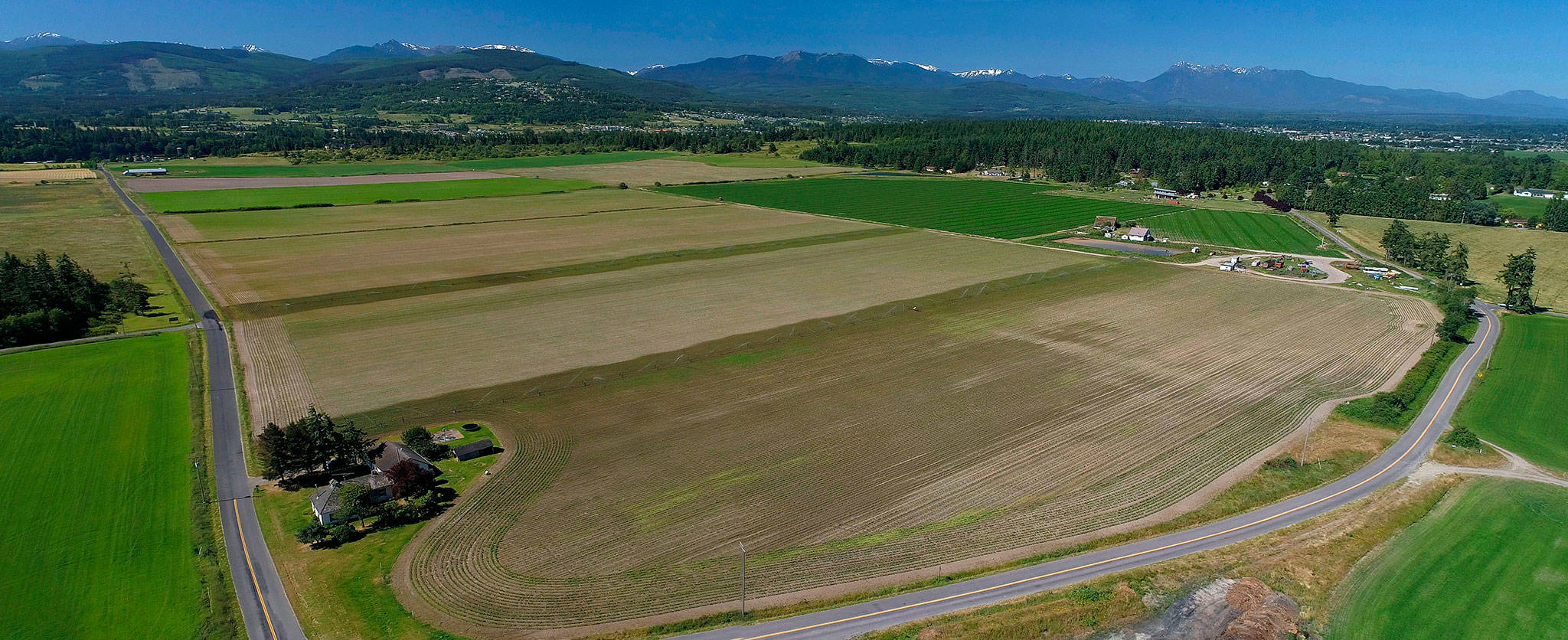 The North olympic Land Trust is looking to conserve Wonderland & The 80 properties in Sequim; at 132 acres, it would be the largest farmland conservation in Clallam County. Photo by John Gussman