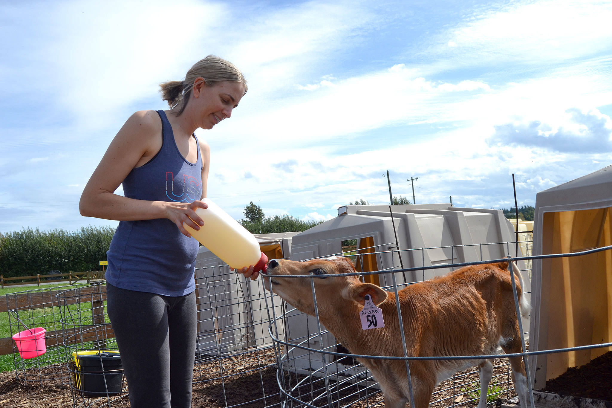 Sarah McCarthey, co-owner of Dungeness Valley Creamery, feeds water to Ariana the cow to increase its electrolytes. Eventually, the cow will grow to produce raw milk for the farm, which offers milk, cream, ice cream and more. Sequim Gazette photo by Matthew Nash