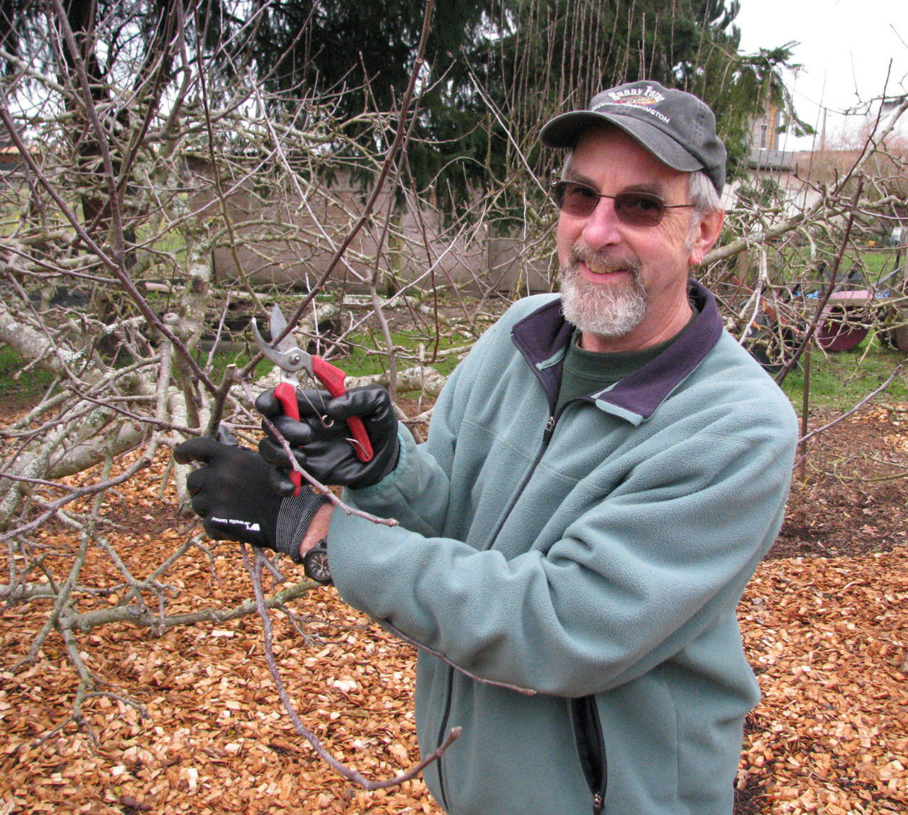 Learn about pruning for the dormant season