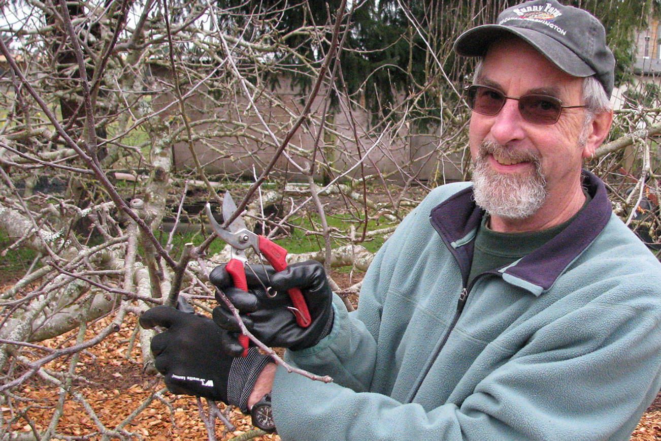 Learn about pruning for the dormant season