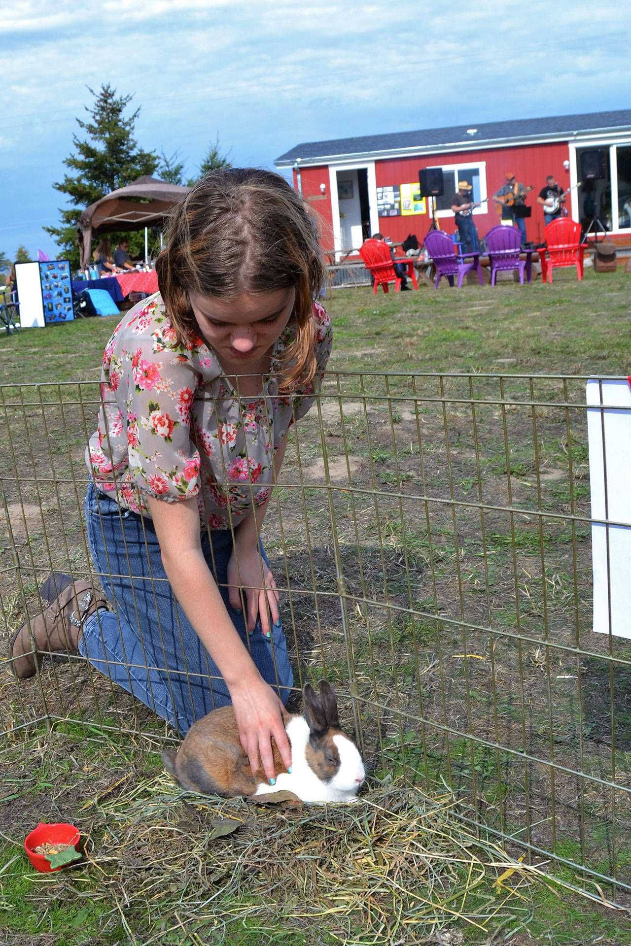 Genevieve King of Sequim pets a Dutch bunny during the Clallam County Farm Tour at Finn Hall Farm. Sequim Gazette photo by Matthew Nash