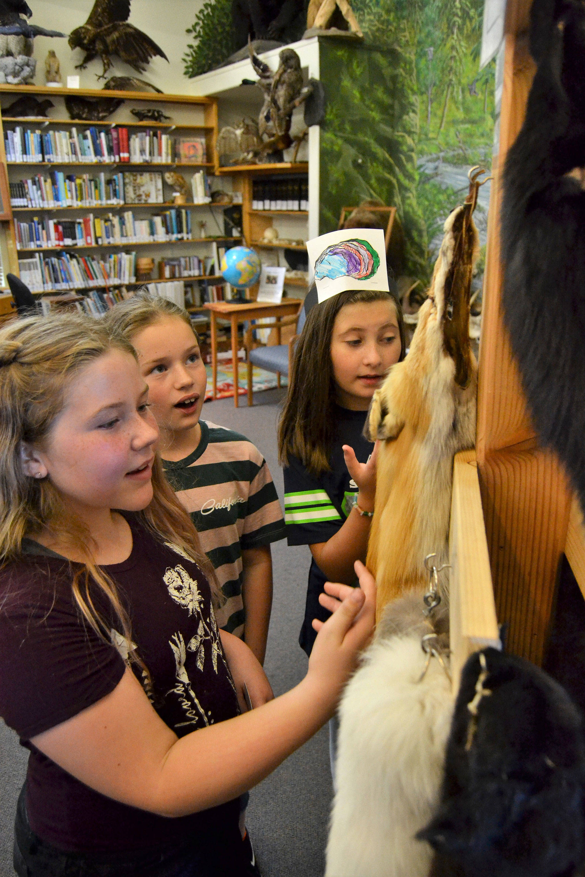 Taylor Hancock, 10, Ava Gastley, 11, and Kendra Dodson, 10, pet animal pelts with the back of their hands inside the Dungeness River Audubon Center during the River Festival. Sequim Gazette photo by Matthew Nash