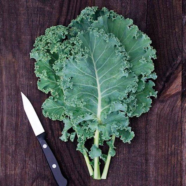 Farm to Table: Harvest the nutritional power of kale