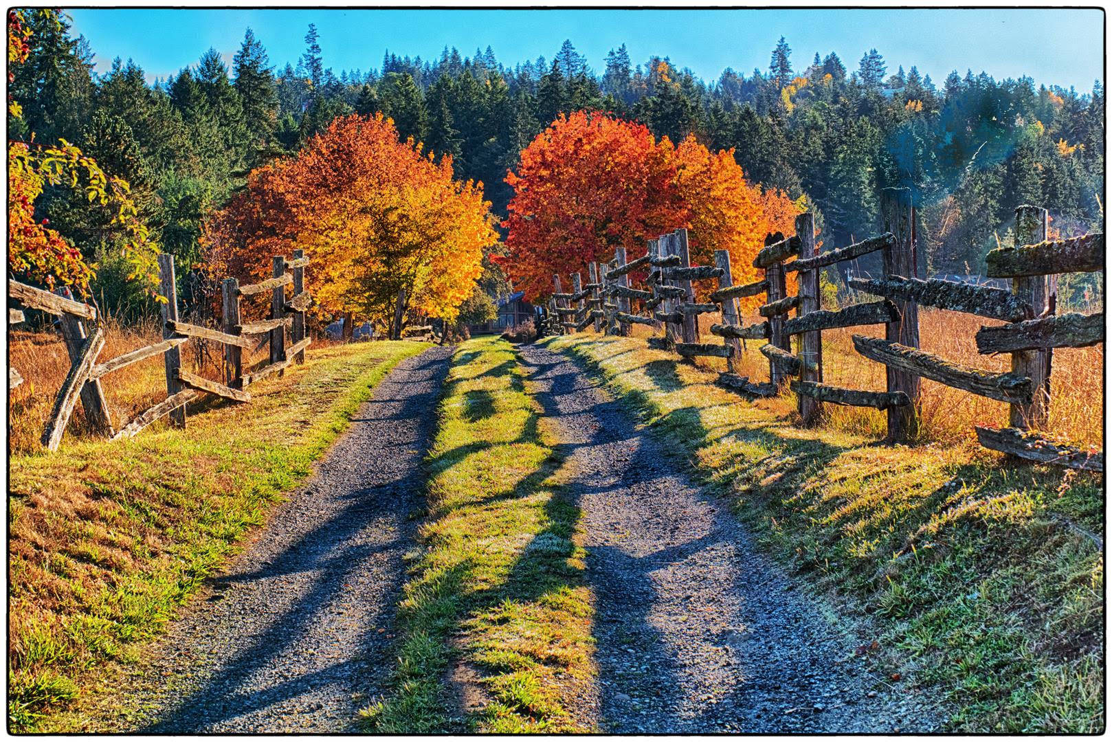 Contributor Bob Lampert spots this idyllic fall scene in Happy Valley last week.
