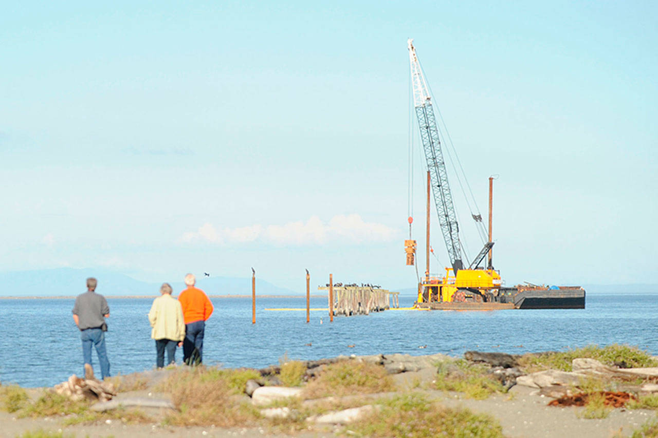 Nearby residents of Three Crabs Road and passersby watch as pilings are removed from the old Dungeness wharf. Sequim Gazette photo by Erin Hawkins