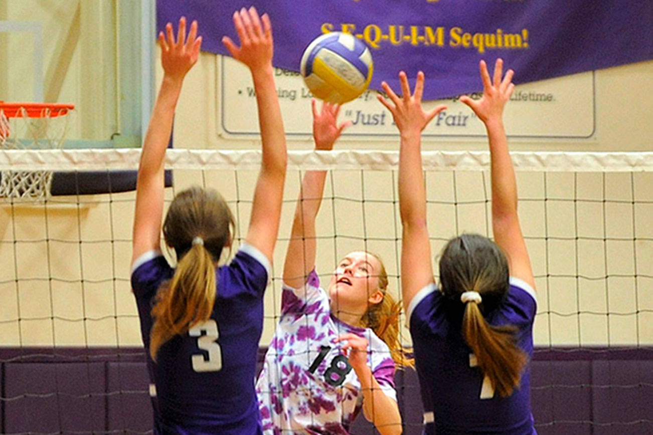 Volleyball: Top-ranked NK edges Sequim in five games