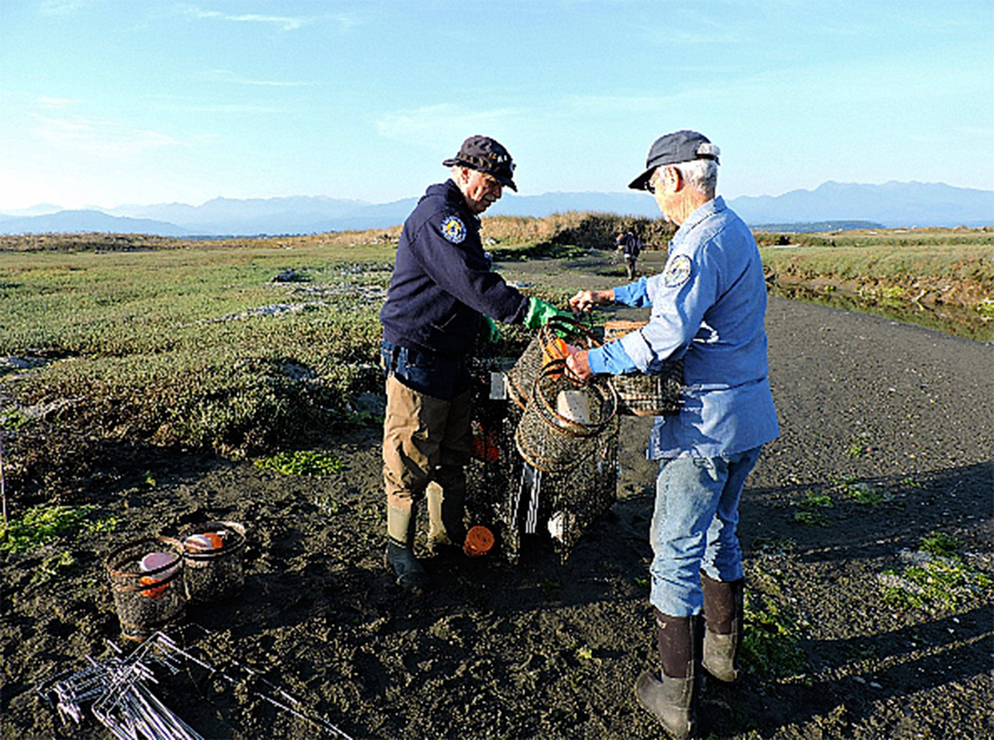 Volunteers Bob Anundson and Pat Schoen help place one of 45-plus traps on Graveyard Spit earlier this year to capture the invasive European green crab. Photo courtesy USFWS
